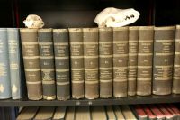 Fachliteratur